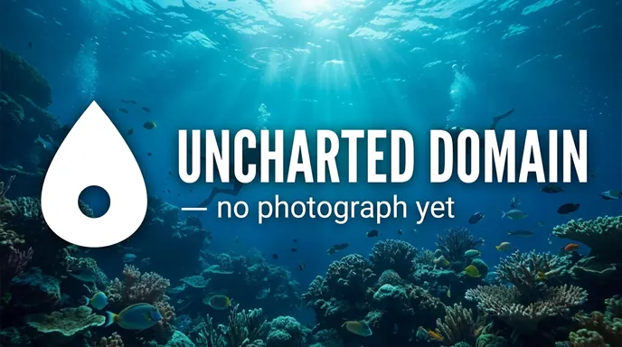No photograph yet
